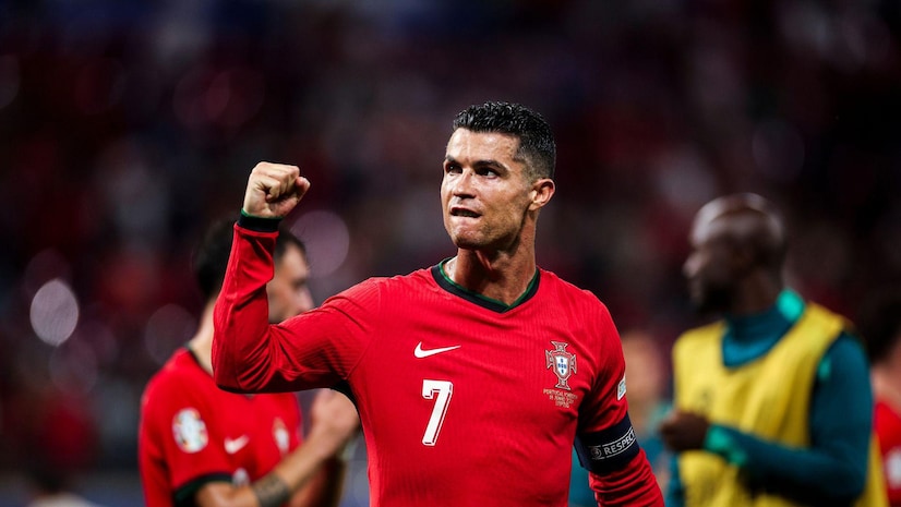 一个鲜活的 一个鲜活的